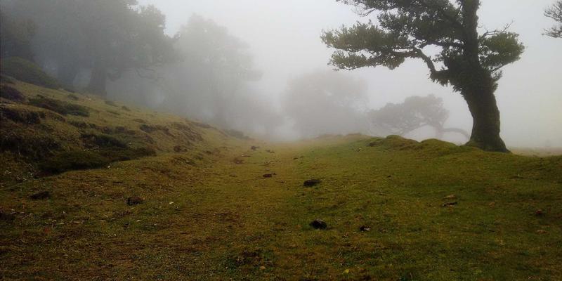 润丰锅炉专家解读：工业锅炉压力容器定期检验法规与常见不合格项整改方案