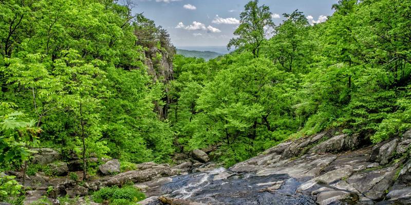 燃气锅炉低氮燃烧器改造指南：政策解读、技术选型与投资回报深度分析