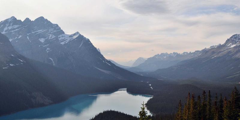 生物质锅炉：燃料特性、系统设计与碳减排潜力全解析，打造高效供暖解决方案