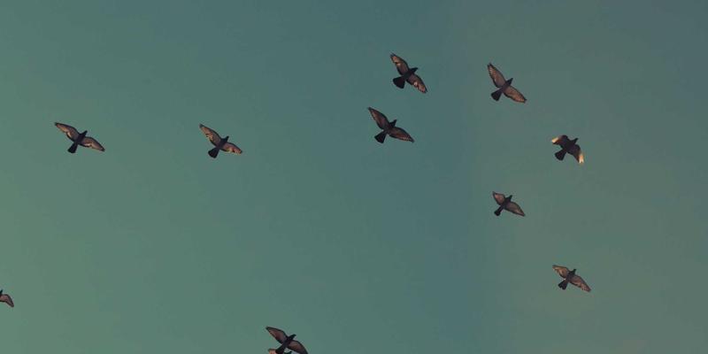 锅炉44：现代供暖系统的核心设备解析与选型指南