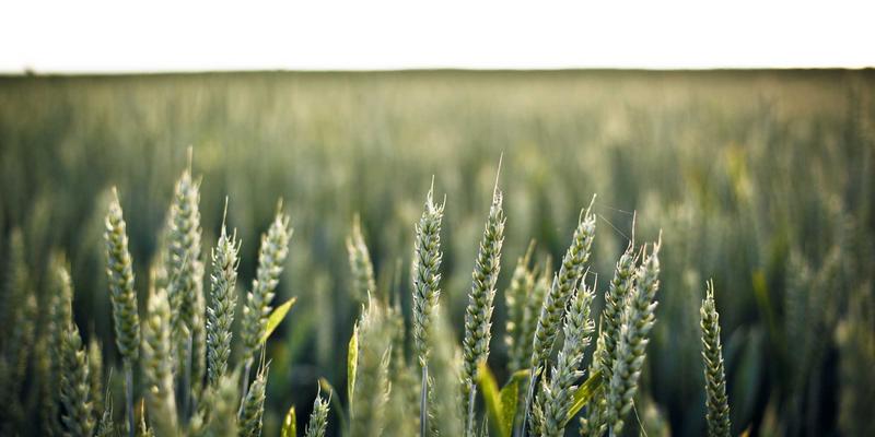 锅炉63:现代供暖系统的核心与高效供暖解决方案解析