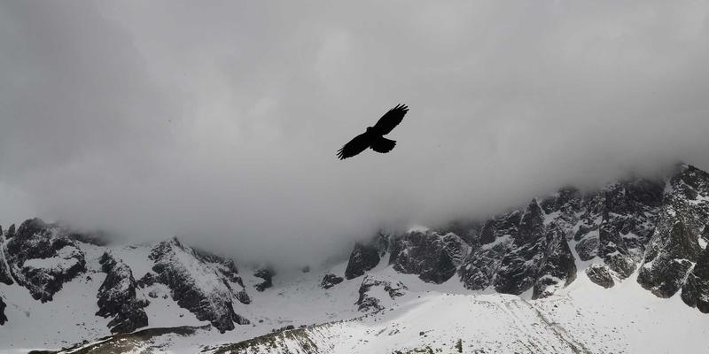 锅炉91:现代工业与供暖系统的核心动力解决方案