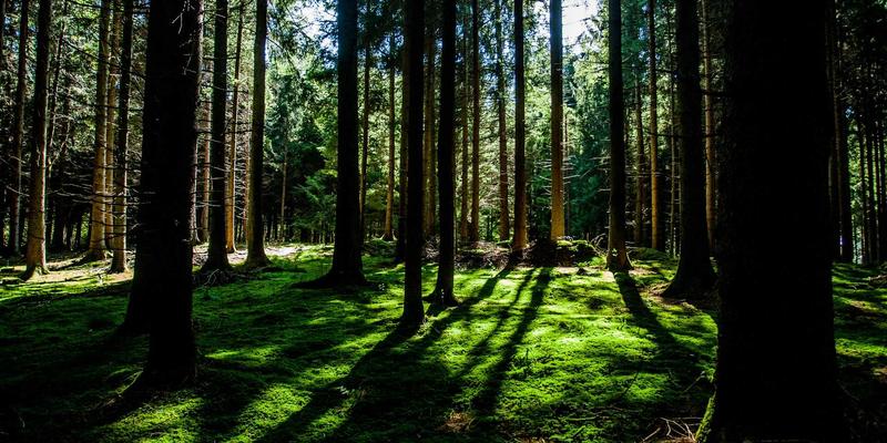 锅炉低氮燃烧器改造技术方案：实现高效供暖与环保排放达标指南