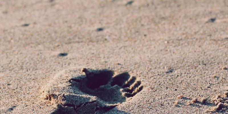 锅炉房设计与布局优化：从安全规范到空间效率提升的完整指南